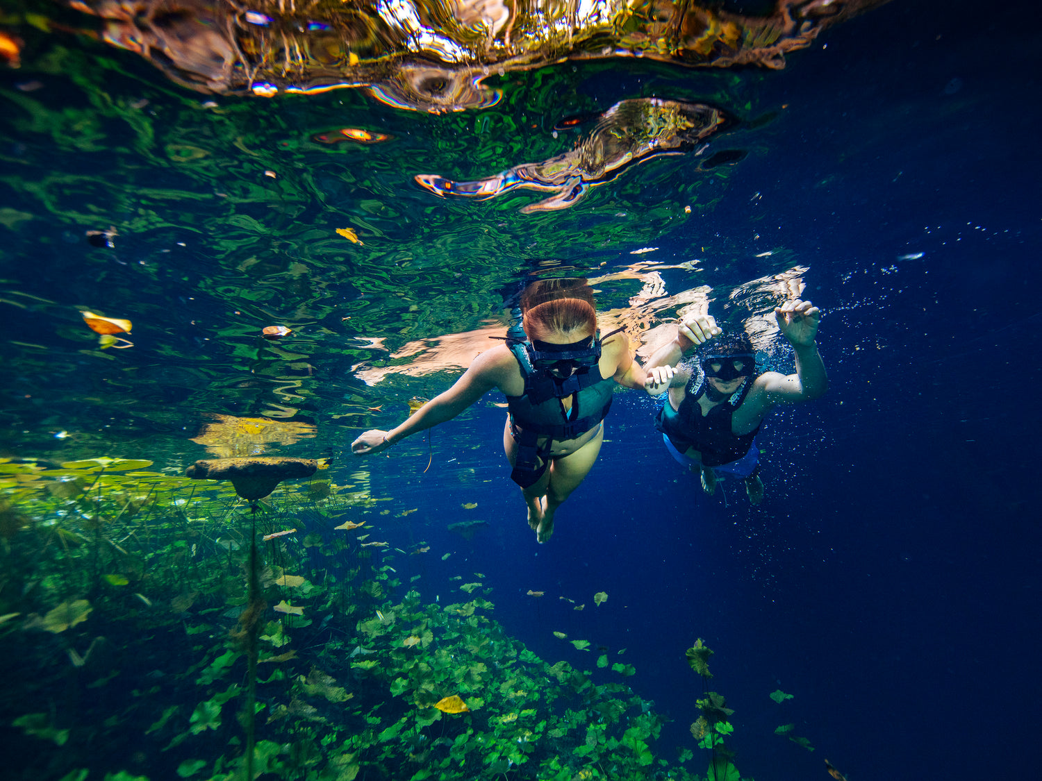 Tour Xenotes: Un Paraíso Natural en la Riviera Maya